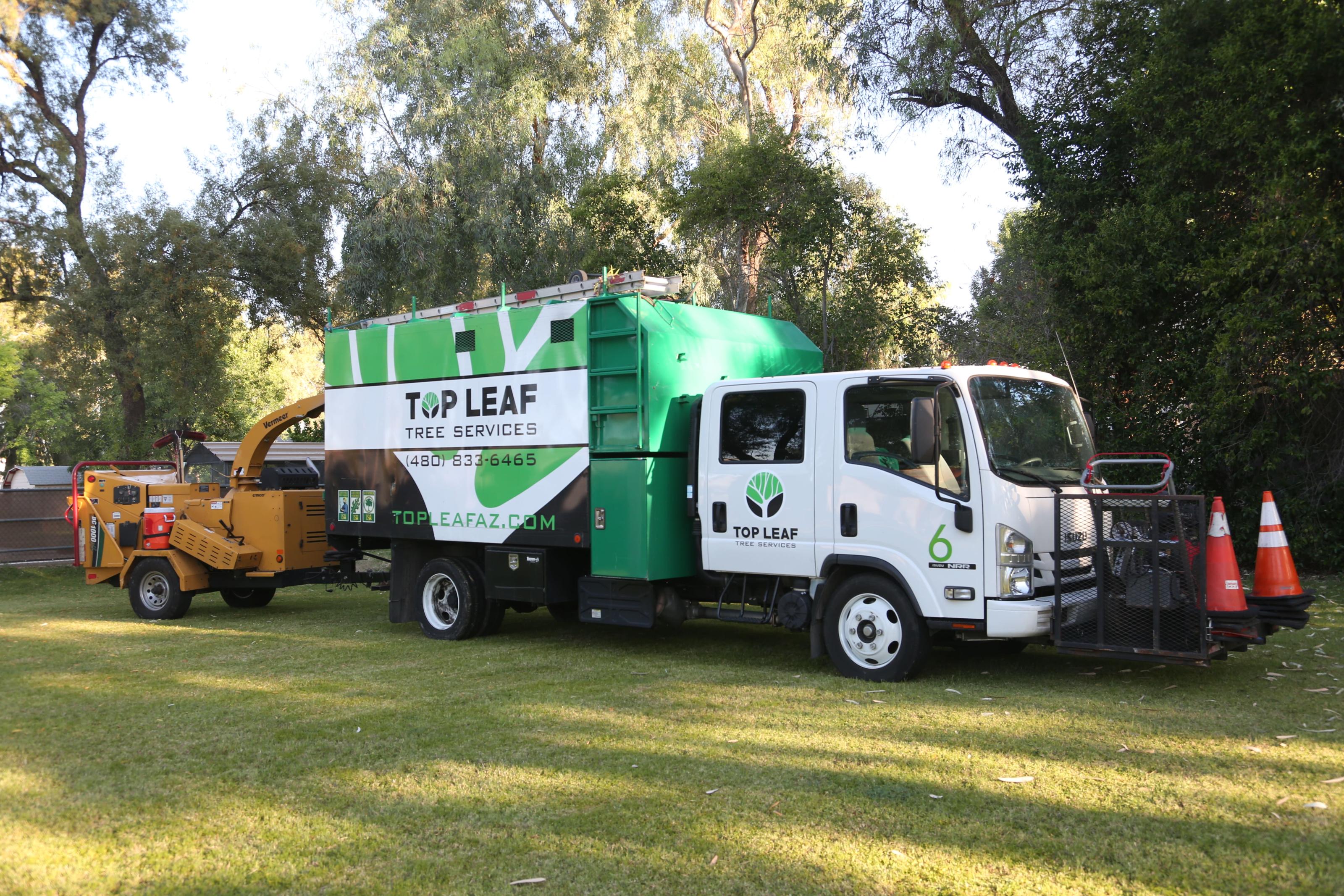 Top Leaf Tree Service Keep Your Trees in Top Shape