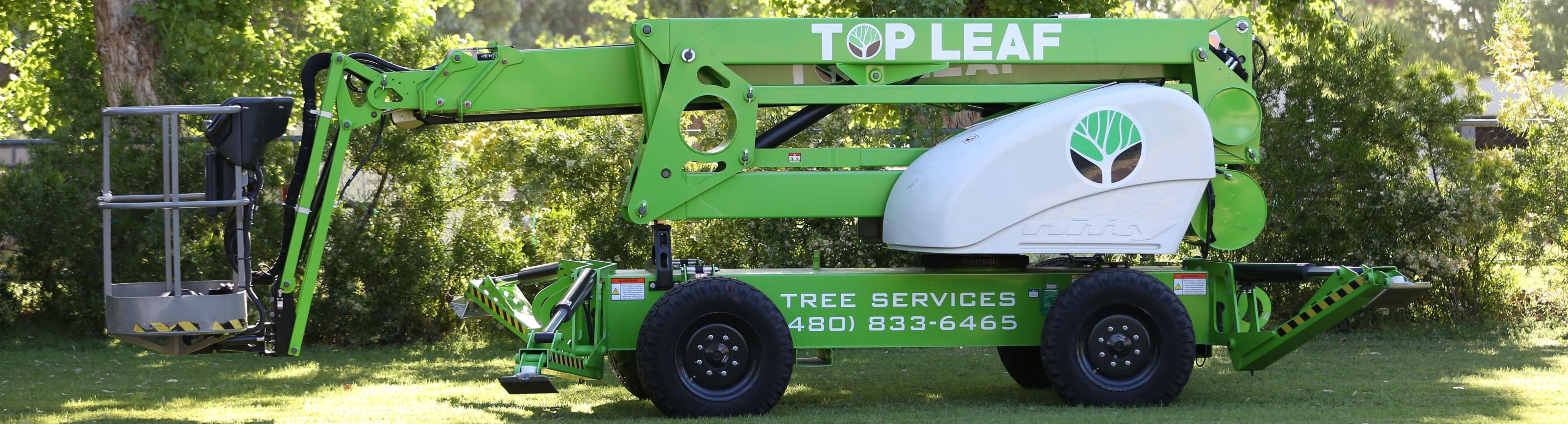 Trust the Experts at Top Leaf Tree Service