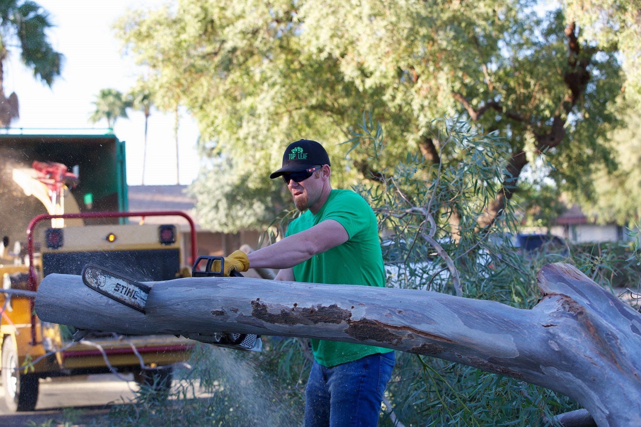 Stump Grinding Phoenix, AZ