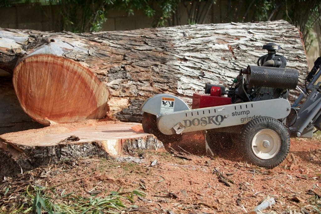 Professional Stump Removal Services by Top Leaf