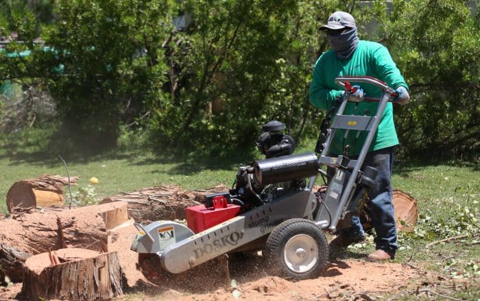 Stump Grinding Services for a Neat Yard in Phoenix