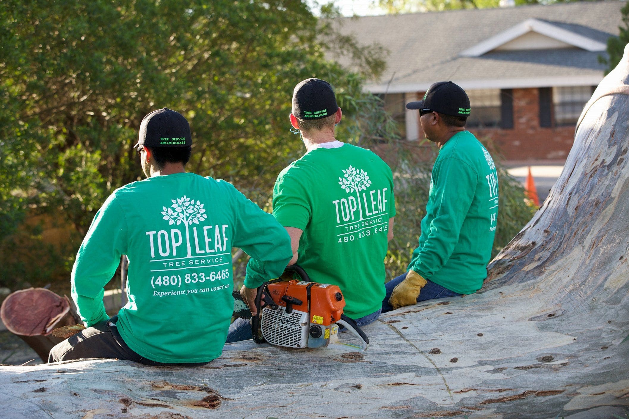 Top Tree Removal Company in Tempe, AZ