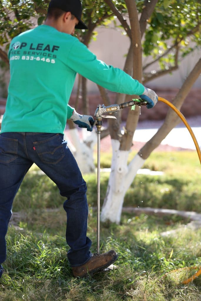 man fertilizing plants