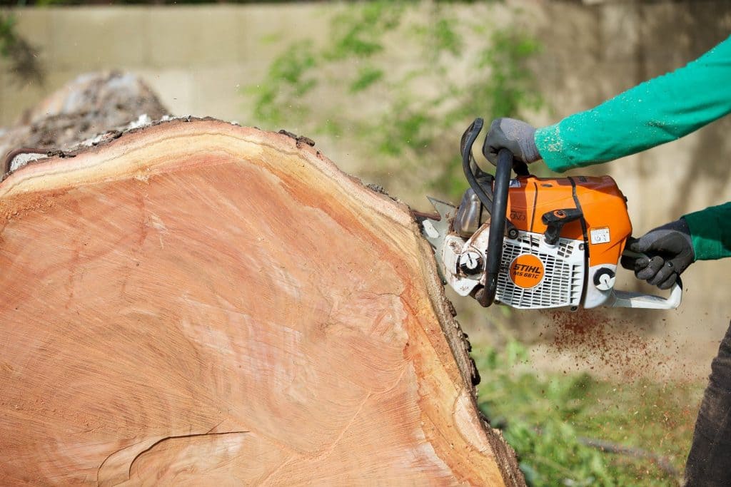 Phoenix Stump Removal Services - Get a Free Estimate