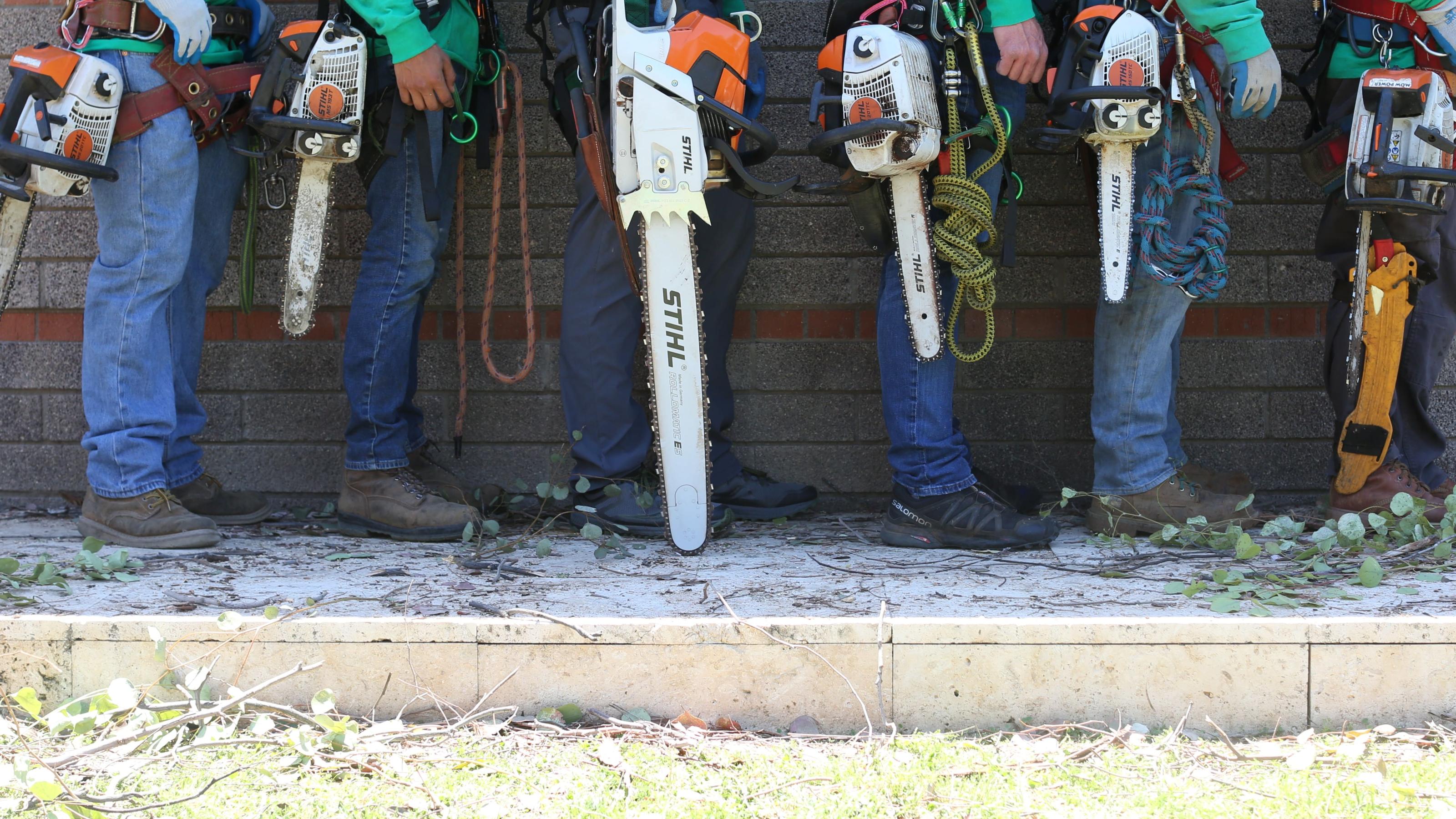 Stump grinding Queen Creek AZ